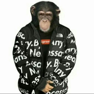 Telegram profile photo for Macaco Posting