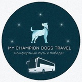 Telegram profile photo for Мой Чемпион поездки с собаками