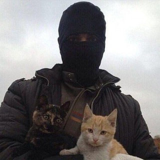 Telegram profile photo for ПЕРЕЕЗД Зелёная комната