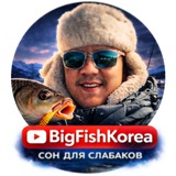 Telegram profile photo for BigFishKorea