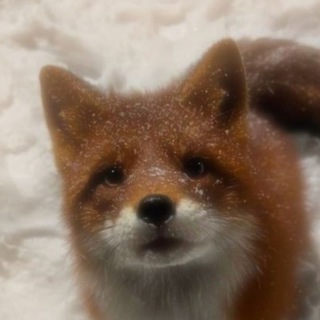 Telegram profile photo for ОФОРМЛЕНИЕ КФ !! ˆ𐃷ˆ