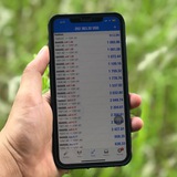 Telegram profile photo for Basic Forex