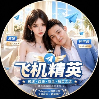 Telegram profile photo for 飞机精英