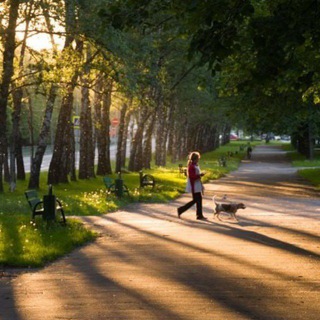 Telegram group profile photo for Гагаринский район