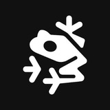 Telegram profile photo for Frogmentstudio