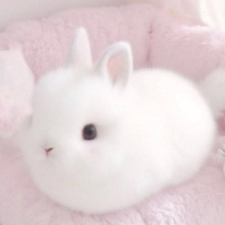 Telegram profile photo for Переходник эйфочан