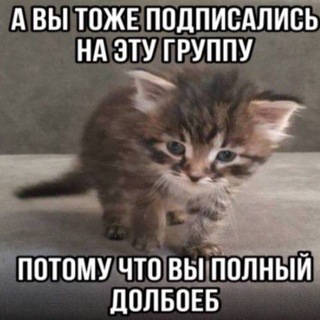 Telegram profile photo for /мегаРЕСТ/ lhSf!!(69+)