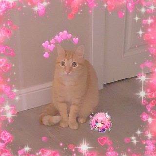 Telegram profile photo for Оливка Вкусная