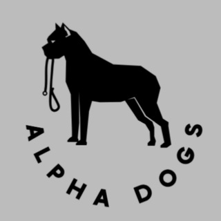 Telegram profile photo for THE ALPHA DOGS
