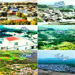 Telegram profile photo for کانال مردمی تیره داراب سرمست (با لقب خالوان)