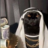 Telegram profile photo for inostranec