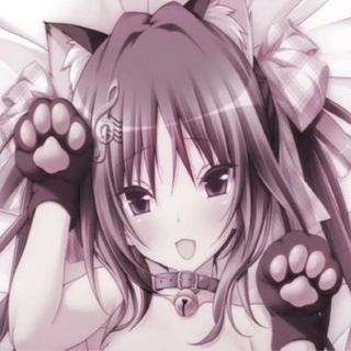 Telegram profile photo for ✧phαrασníхєѕ
