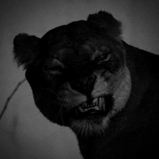 Telegram profile photo for ππππ
