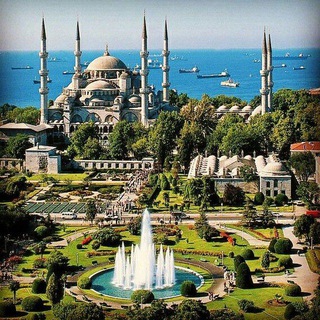 Telegram profile photo for TURKEYDATA