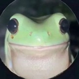 Telegram profile photo for ANVRAN