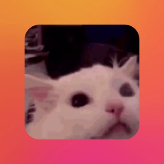 Telegram group profile photo for )