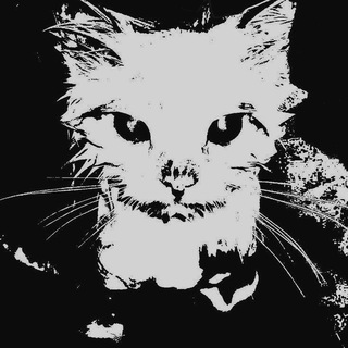 Telegram profile photo for ㅤ— temporary fix `🔒