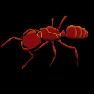 Telegram profile photo for Odontant
