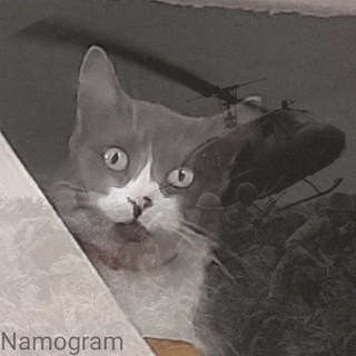 Telegram profile photo for 🫡Умное и не очень 🇷🇺