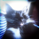 Telegram profile photo for ᴋᴀᴅᴢʏᴡᴀ