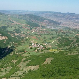 Telegram profile photo for کانال رسمی الارز