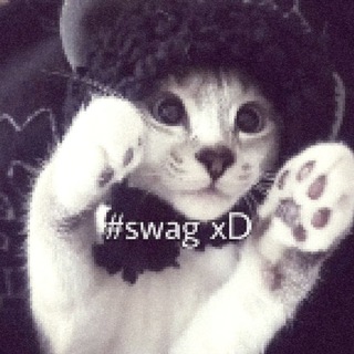 Telegram profile photo for mao xD