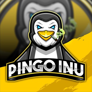 Telegram group profile photo for PINGO INU🚀