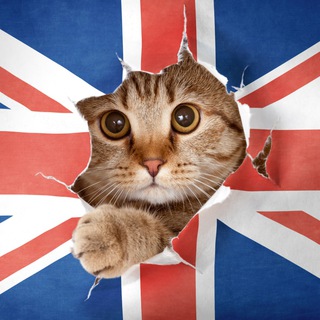 Telegram profile photo for English in polls π¬π§ | English Language