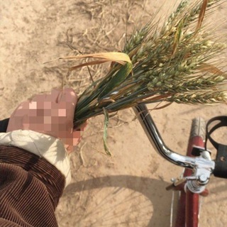Telegram profile photo for سُكره 🧚🤍🤍.