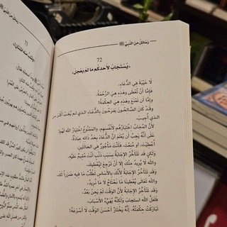 Telegram profile photo for نبض غزاوي