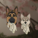 Telegram profile photo for 🐕🐶Двоє Хвостатих🐾