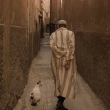 Telegram profile photo for Ali's Way of Life
