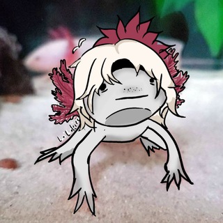 Telegram profile photo for ☾︴𝑇𝑎𝑑𝑝𝑜𝑙𝑒/𝙇𝙖𝙞𝙡𝙤𝙠𝙞𝙯𝙯_𝙤𝙛𝙛:𝙘𝙖𝙡𝙡 | жизнь ᴦоᴧоʙᴀᴄᴛиᴋᴀ ☽︴🌚