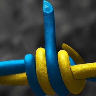 Telegram profile photo for Злий Бандерівець