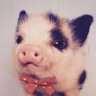 Telegram profile photo for Империя Затмение Луны| ЗЛ|13+|pony town