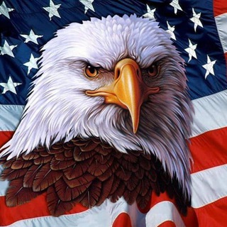 Telegram profile photo for USA - The White House