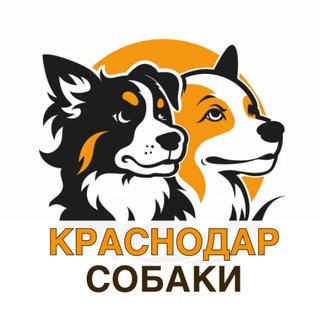 Telegram group profile photo for Собаки Краснодар, объявление