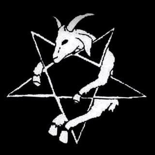 Telegram profile photo for vibug