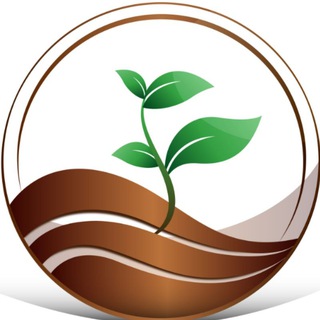 Telegram profile photo for نهالستان فراز نهال
