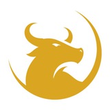 Telegram profile photo for CryptoBull