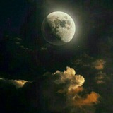 Telegram profile photo for آرشیو هلیماء