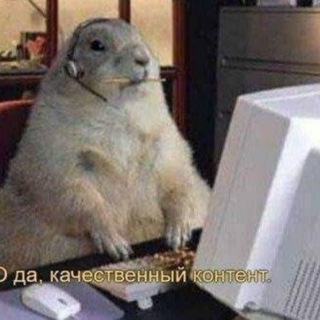 Telegram profile photo for Психика в мемах