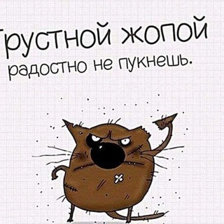 Telegram profile photo for О финансах и романсах