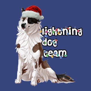 Telegram profile photo for β‘πππππππππ.πππ.ππππβ¨