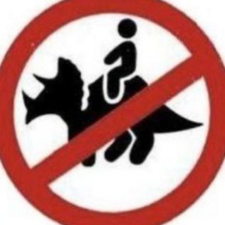 Telegram profile photo for ⊱ ۫ ׅ ✧ jemcha info