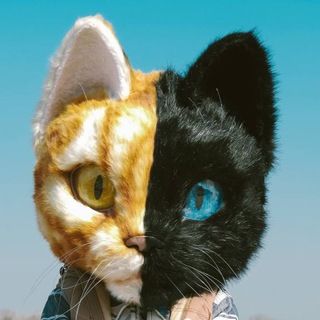 Telegram profile photo for Кот «MASCOT» | блогер нового формата