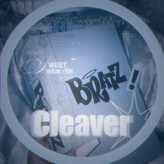 Telegram profile photo for Info about the flood: Cleaver