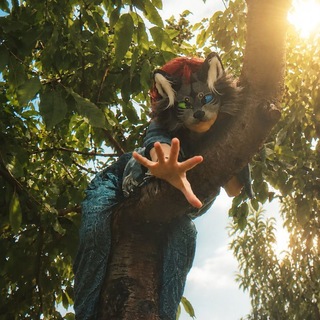 Telegram profile photo for ˖⁺Подвал ᴡᴏʟᴛ.ᴬ࿔🍉⊹