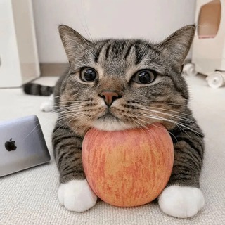 Telegram profile photo for $LAZY PORTAL