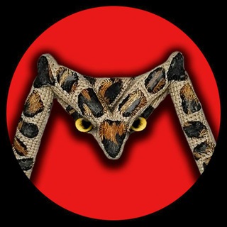 Telegram profile photo for MIRDIMS